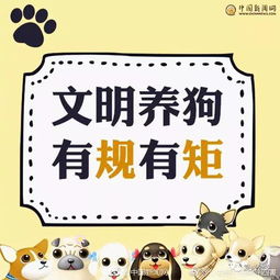 新澳门天天免费谜语官方同管家婆100谜语答案:鼠、鸡、猪、狗高效解答、专家解析解释与落实-警惕夸张幌子 新澳门天天免费谜语官方同管家婆100谜语答案:鼠、鸡、猪、狗高效解答、专家解析解释与落实-警惕夸张幌子