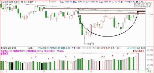 澳门一肖一马一恃一中下一期预测,7777788888888精准:通俗释义、解释与落实,警惕欺诈套路危害