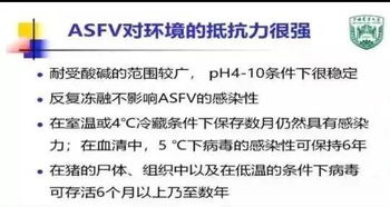 质问:77778888888精准传真：牛、猴、虎、猪,62785ccm全网最精准的广告平台,远离欺骗的迷雾-本质释义、专家解读解释与落实