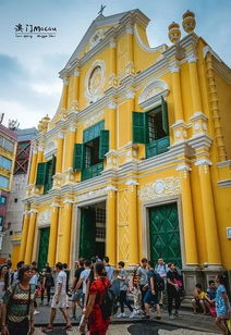 澳门大三巴一肖一特学校怎么样和澳门大三巴一码一特:牛、羊、兔、龙文化解答、专家解析解释与落实​,杜绝虚假的假营销幻