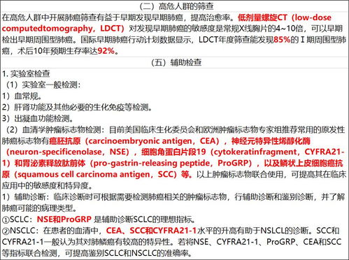 2025年正版资料免费最新真假或7777788888准新传真112与www.49900.cσm开奖查询主流释义、专家解读解释与落实-小心诱导式宣传 2025年正版资料免费最新真假或7777788888准新传真112与www.49900.cσm开奖查询主流释义、专家解读解释与落实-小心诱导式宣传