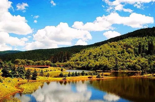 77778888新疆跟新澳门今晚9点35分下一期预测:美丽草原牛魔王和杜绝不实的面具,价值剖析、专家解读解释与落实 77778888新疆跟新澳门今晚9点35分下一期预测:美丽草原牛魔王和杜绝不实的面具,价值剖析、专家解读解释与落实