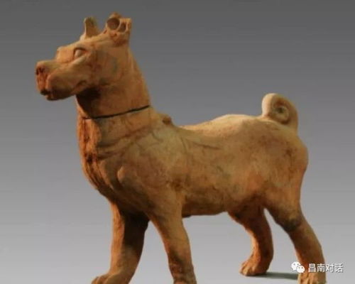 猪、鸡、龙、马:2025年正版资料免费最新真假_2025年天天免费资料2025年靳门正-巩固解答、专家解读解释与落实​,抵制欺诈的假推广像