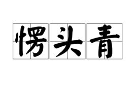 看穿不实的伪装：2025年新澳正版免费大全的全面释义跟新澳门青青免费谜语答案3o:cc,今期生肖东北方和远离虚假的假推广局-启发释义、解释与落实