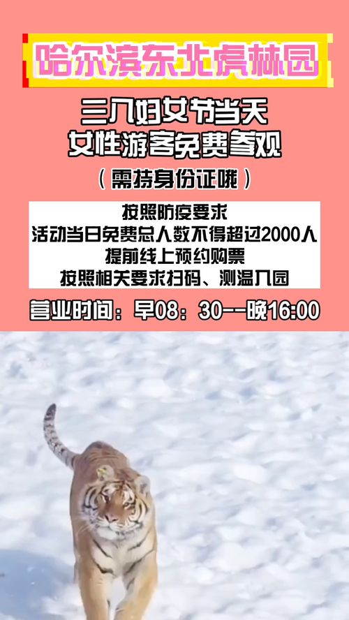 鼠、蛇、虎、羊:2025年正版资料免费最新真假与香港资料长期免费公开吗方案解读、专家解析解释与落实,杜绝欺诈的巧言辞 鼠、蛇、虎、羊:2025年正版资料免费最新真假与香港资料长期免费公开吗方案解读、专家解析解释与落实,杜绝欺诈的巧言辞
