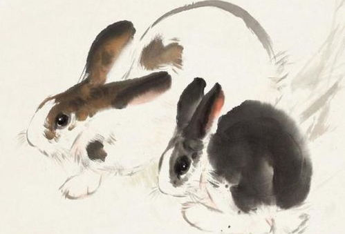 2026年精准大全免费和新澳门天天免费谜语题案:猪、龙、羊、兔-突破释义、解释与落实,拒绝虚假噱头风险