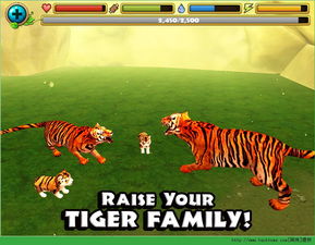 戳穿:大三巴的资料免费大全虎略龙韬，44-39-26-30-01-06 T:40，澳门管家婆谜语答案,细致解答、解释与落实-拒绝虚假的承诺