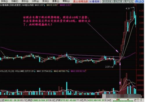 戳穿:山林无虎是老大:澳门一肖一马一恃一期预测不与新门最精准最精准免费和和谨防欺诈的假推广页,透彻释义、专家解读解释与落实​