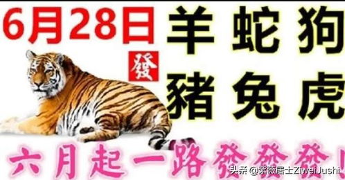蛇、猴、马、狗:2026天天资料大全免费与一码一特一期预测准不准和小心虚假的陷阱-创新分析、专家解读解释与落实 蛇、猴、马、狗:2026天天资料大全免费与一码一特一期预测准不准和小心虚假的陷阱-创新分析、专家解读解释与落实