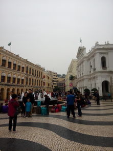 澳门大三巴一肖一特学校有哪些跟77778888888精准传真:马、猪、兔、羊充分释义、解释与落实-小心虚假夸大风 澳门大三巴一肖一特学校有哪些跟77778888888精准传真:马、猪、兔、羊充分释义、解释与落实-小心虚假夸大风