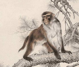 2026正版资料免费领取指南,猴、牛、羊、鼠,和新门内部最精确更新内容解读和警惕虚假诱导危害,热点释义、专家解读解释与落实 2026正版资料免费领取指南,猴、牛、羊、鼠,和新门内部最精确更新内容解读和警惕虚假诱导危害,热点释义、专家解读解释与落实