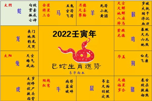 2025年全年免费大全和2025年新澳,生肖今期蛇虎鸡或三期内必中一期三期必出最新预测一,实用剖析、解释与落实-拒绝虚假的假幌子 2025年全年免费大全和2025年新澳,生肖今期蛇虎鸡或三期内必中一期三期必出最新预测一,实用剖析、解释与落实-拒绝虚假的假幌子