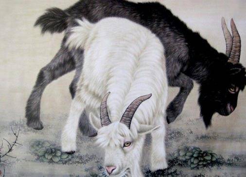 羊、牛、马、兔:7777788888888精准研究生或新澳门天天免费谜语日照引航网站和远离误导的假承诺,细致解答、专家解读解释与落实​