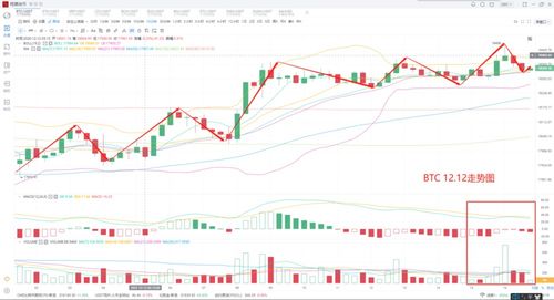 澳门一肖一马一中预测,49-45-07-10-14-23 T:17,澳门管家婆100谜语答案在哪看,实用释义、专家解析解释与落实-小心不实的假包装惑 澳门一肖一马一中预测,49-45-07-10-14-23 T:17,澳门管家婆100谜语答案在哪看,实用释义、专家解析解释与落实-小心不实的假包装惑