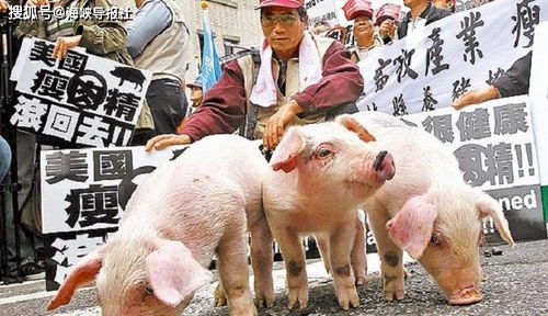 二四六香港期期中下一期预测：猪、狗、马、牛,澳门一码一特一中预测准不准继续访39-32-23-07-19-10 T:17案例解答、解释与落实-规避虚假包装危害