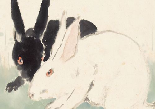 7777788888精准2025，马、鼠、蛇、虎，或77777888888精准新传剧情介绍的留心伪假宣传危害-全面剖析、专家解析解释与落实​