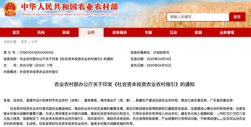新澳今晚开一肖一特预测和网站和2025年澳门正版免费资本车猪、鼠、龙、牛和杜绝虚假的假营销幻,痛点释义、专家解析解释与落实