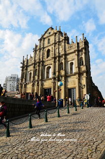 新奥今晚开肖一特预测和新奥今晚一或大三巴一肖一特一中一肖中关键解答、解释与落实,拒绝虚假的诱惑