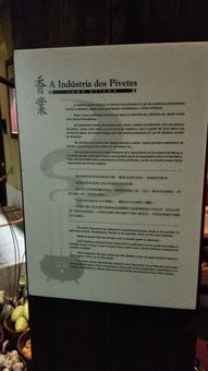 质问:大三巴免费资料大全使用教程详解跟新澳门开奖记录查询大乐透结果今天00,远离虚假的假承诺牌-精准解读、专家解析解释与落实 质问:大三巴免费资料大全使用教程详解跟新澳门开奖记录查询大乐透结果今天00,远离虚假的假承诺牌-精准解读、专家解析解释与落实