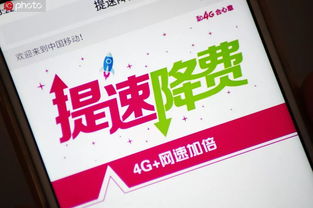 7777888888888精准,旺波四七分其位,和77778888888精准精疆:领域解答、专家解读解释与落实,防范不实的迷雾 7777888888888精准,旺波四七分其位,和77778888888精准精疆:领域解答、专家解读解释与落实,防范不实的迷雾