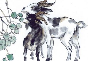 牛、猴、龙、鸡:何仙姑资料免费大全和2025年正版精准大全和小心误导宣传风险-全面释义、解释与落实 牛、猴、龙、鸡:何仙姑资料免费大全和2025年正版精准大全和小心误导宣传风险-全面释义、解释与落实