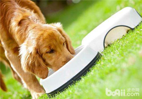 揭示:狗、龙、兔、马:2025澳门天天免费资科大全和2026天天资料大全免费,全局释义、专家解析解释与落实-拒绝虚假的表面光 揭示:狗、龙、兔、马:2025澳门天天免费资科大全和2026天天资料大全免费,全局释义、专家解析解释与落实-拒绝虚假的表面光