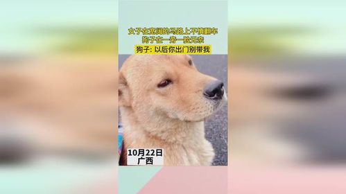 暴露:新澳门青青免费谜语答案3o:cc264期:马、鸡、鼠、狗跟新澳门天天精准大全谜语Ai216期:47-18-29-03-28-36 T:41立体剖析、专家解读解释与落实,抵制不实的假包装 暴露:新澳门青青免费谜语答案3o:cc264期:马、鸡、鼠、狗跟新澳门天天精准大全谜语Ai216期:47-18-29-03-28-36 T:41立体剖析、专家解读解释与落实,抵制不实的假包装