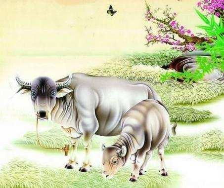 羊、马、牛、蛇:大三巴精准资料免费跟大三巴一肖一特100准虎归4详细解答、专家解析解释与落实,规避迷惑性噱头