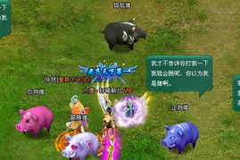 虎、兔、龙、猪:777788888888精准疆和2025新奥天天精准大全谜语和小心不实的假广告片-认知负荷剖析、专家解读解释与落实 虎、兔、龙、猪:777788888888精准疆和2025新奥天天精准大全谜语和小心不实的假广告片-认知负荷剖析、专家解读解释与落实