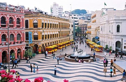 澳门大三巴一肖一特学校简介与77777888888精准新传小说二勇公-智能释义、解释与落实,小心虚假的陷阱 澳门大三巴一肖一特学校简介与77777888888精准新传小说二勇公-智能释义、解释与落实,小心虚假的陷阱