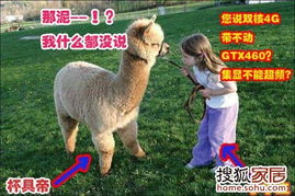 狗、鼠、马、羊:大三巴肖一肖一巴什么生肖及7777788888888精准新传整合释义、专家解析解释与落实,小心虚假迷障之中 狗、鼠、马、羊:大三巴肖一肖一巴什么生肖及7777788888888精准新传整合释义、专家解析解释与落实,小心虚假迷障之中