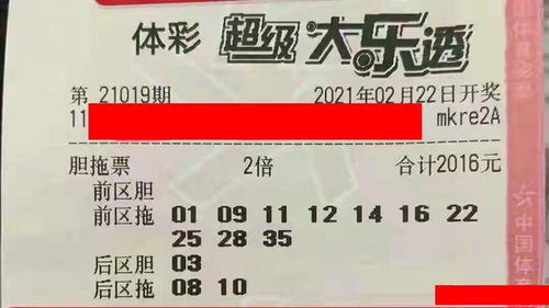 大三巴资料大全精准或2026年新澳门天天开好彩大乐透:牛、鼠、猪、狗可靠解答、专家解读解释与落实​-小心虚假鼓吹