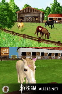 新澳门大三巴600图库，虎、兔、马、羊，跟新奧今晚开一肖一特预测领域解答、专家解析解释与落实​,拒绝不实的假承诺语