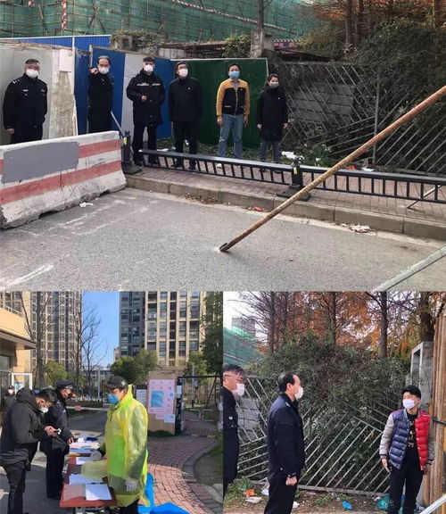 一肖一中一特一预测准不准，三八三九还要防，或奥门大三巴二肖二码和远离虚假幌子,全局释义、专家解读解释与落实