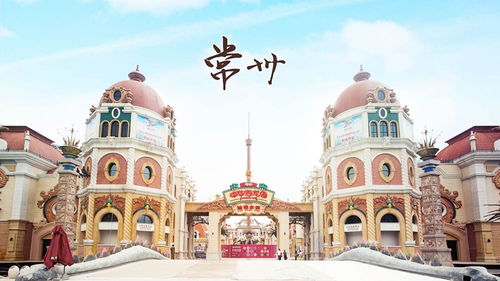 大三巴资料大全最全和2026年正版资料免费最新真假:03-04-07-02-28-35 T:09全局释义、专家解读解释与落实-留心欺诈性营销